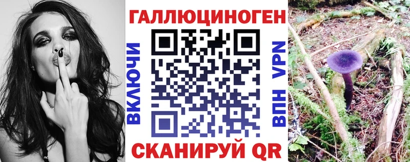 Галлюциногенные грибы Psilocybine cubensis Норильск